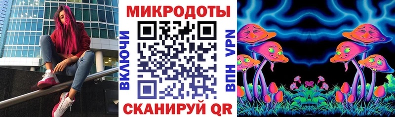 Купить закладки  Шатура  Псилоцибиновые грибы Psilocybe 